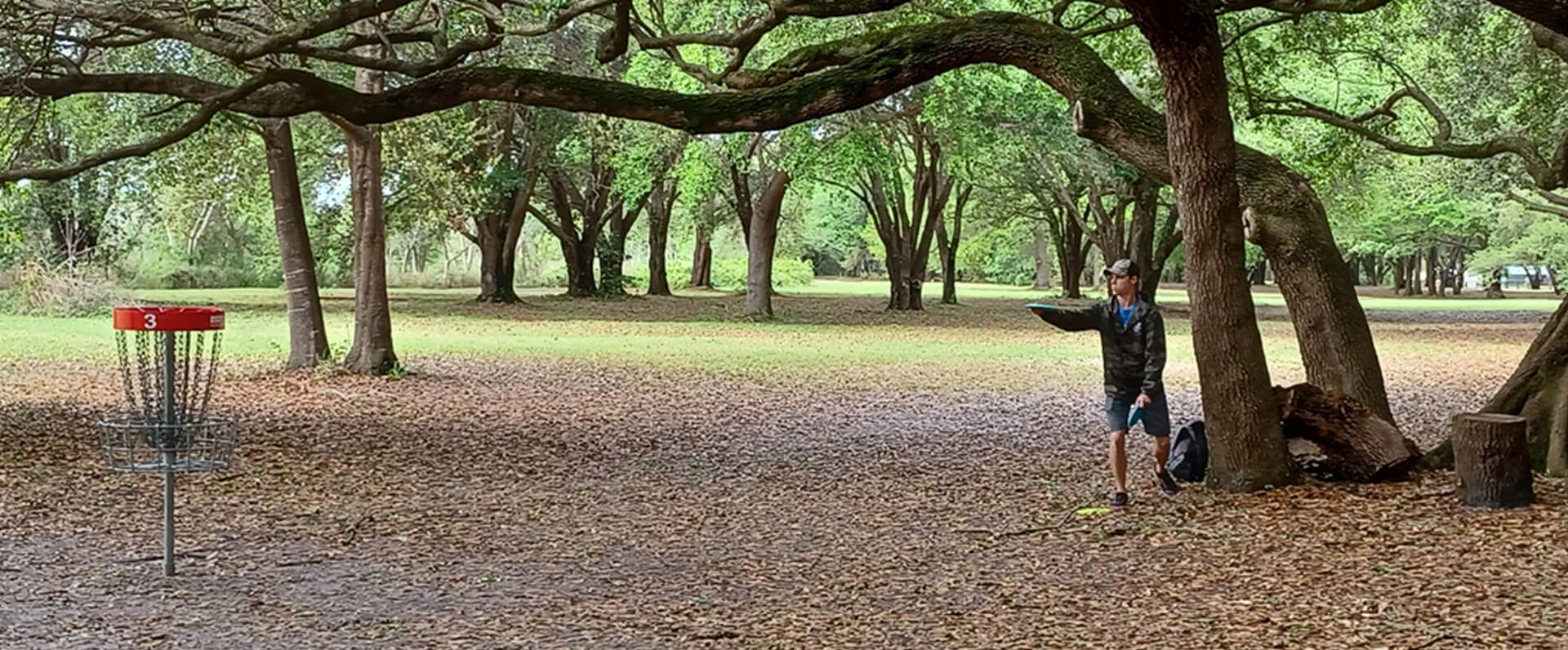 Disc Golf Course Design